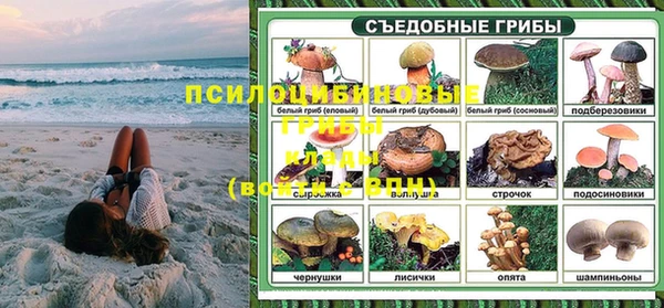 СК Санкт-Петербург
