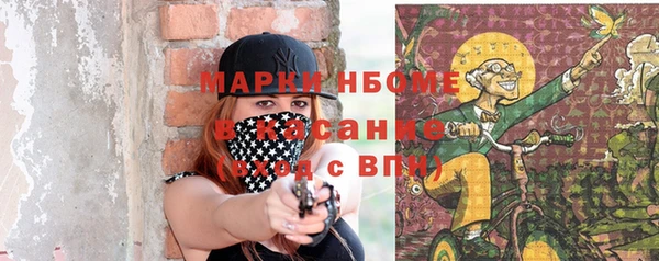 мяу мяу мука Ессентукская