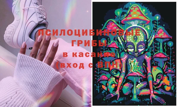 мяу мяу мука Ессентукская