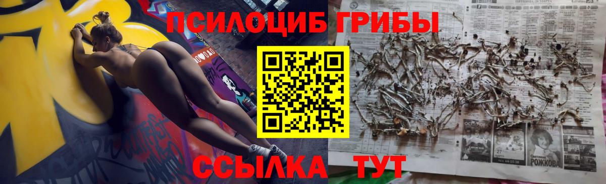 Псилоцибиновые грибы GOLDEN TEACHER  Вход с VPN  Белая Калитва 